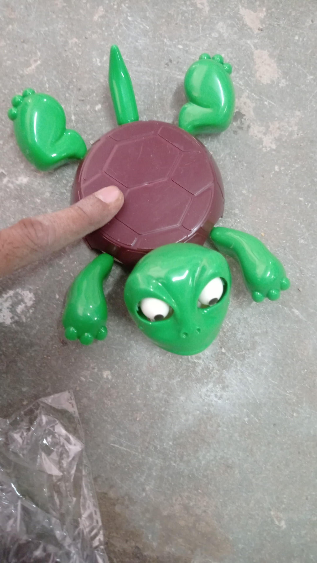 Funny Turtle Coaster